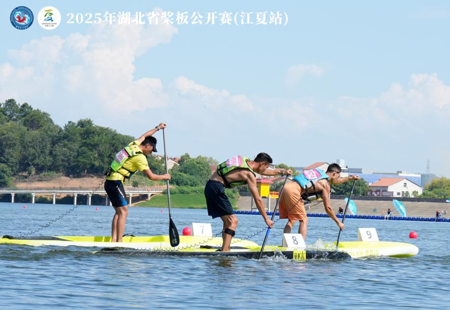 艇运动协会, 赛事设置的, img