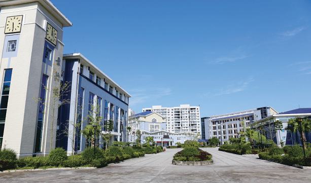 朝气蓬勃的, 武术和自编, 夹江一中坚